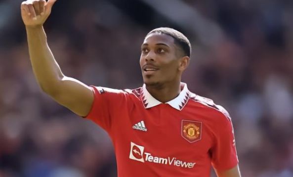 他不仅希望 他不仅希望